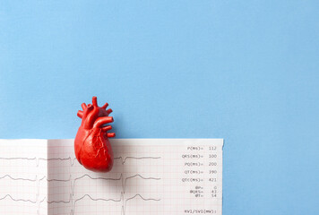 Anatomical model heart and electrocardiogram on blue background. Medical banner for cardiology...