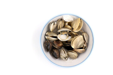 Closed up fresh baby clams, venus shell, shellfish, carpet clams, short necked clams, as raw food from the sea are the seafood ingredients. fresh clams Background.