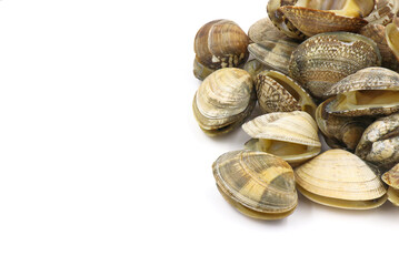 Closed up fresh baby clams, venus shell, shellfish, carpet clams, short necked clams, as raw food from the sea are the seafood ingredients. fresh clams Background.