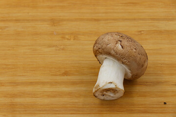Fresh champignon mushroom isolated on wooden background