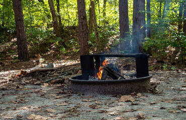 Fire pit surrounded by woods