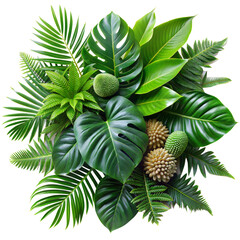 Lush tropical leaves and exotic flowers arrangement