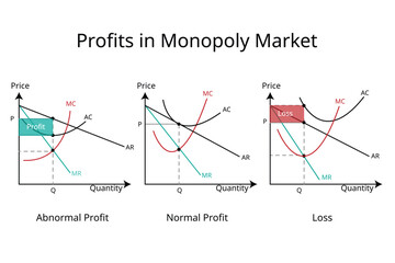 type of profit in monopoly market in economics graph