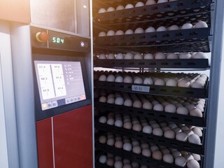 Hatchery concept technology of smart incubation hatchering machine. Modern technology Hatching eggs...