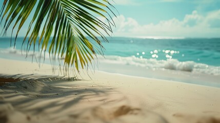 seascape. palm tree, sea, sand. place for the text