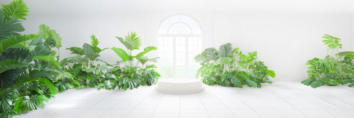 podium with plants in a white room in front of a window