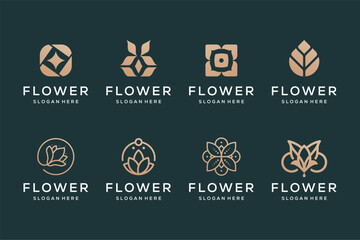 Set of flower luxury gold vector logo design premium