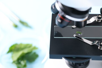 Food quality control. Glass slide with parsley under microscope on table, closeup