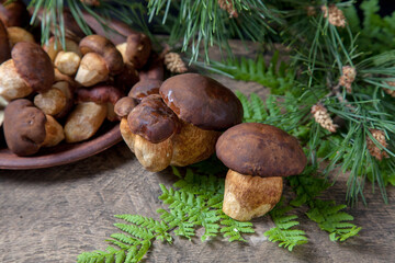 Imleria Badia or Boletus badius mushrooms commonly known as the bay bolete and clay plate with mushrooms on vintage wooden background..