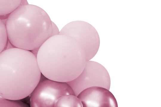 Decorative balloon sculpture. Close-up photograph.