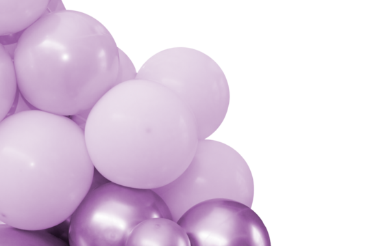 Decorative balloon sculpture. Close-up photograph.