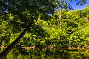 Fototapeta na wymiar Mohican River in Summer, Mohican State Park, Ohio