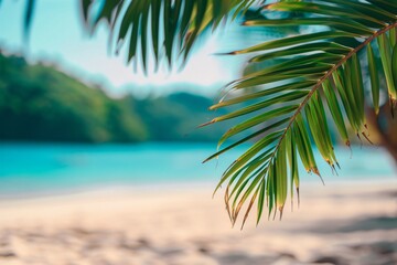 Summer Background - Wallpaper - Banner design