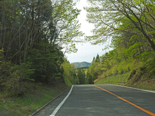 Fototapeta premium Travelling on Kyushu, driving on lonely road surrounded by green forest on sunny summer day