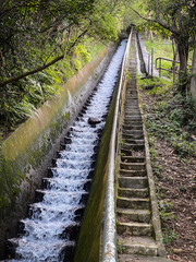 Serene Water Flow Alongside Stone Stairway in Nature