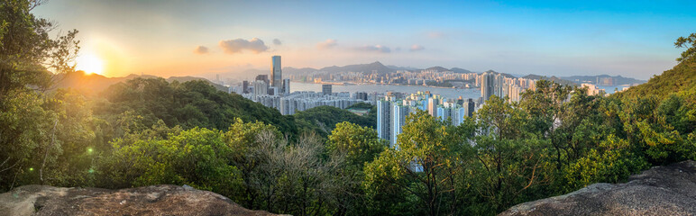 Urban Jungle Meets Natural Beauty: A Cityscape View in Hong Kong