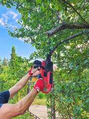 A man skillfully trims tree branches with a red chainsaw in a well-maintained garden. The sun shines warmly, creating a peaceful atmosphere. The man is focused, wearing protective gloves for safety.