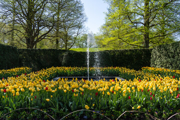 Tulips and Fountains at Longwood Gardens