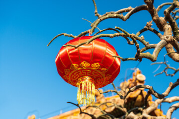 Fototapeta na wymiar Red Chinese Lantern in Jingshan Park, Beijing During the Festival
