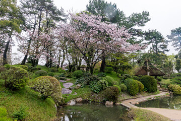 A beautiful garden with a pond and a tree with pink flowers