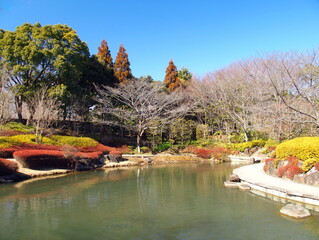 冬の池のある日本庭園風景