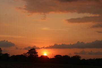 sunset sky with clouds.