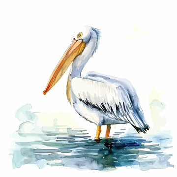 recommend clip art: cute cartoon pelican walking in watercolor painting style
