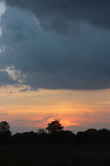 Fototapeta premium Sunset sky for background or sunrise sky and cloud at morning.