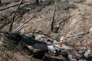 Looking down into a small creek in an area with sparse vegetation that had experienced a widlfire a...