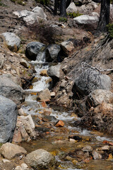 Small creek flowing in spring.  Water cascading over rocks.  Vertical.  
