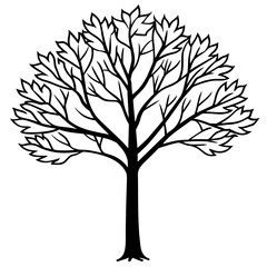 Fototapeta premium tree silhouette vector
