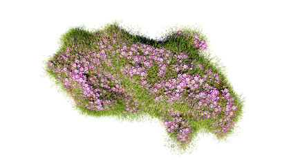 Top view of 3D render various types of flowers grass bushes shrub and small plants on transparent background