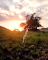 beautiful sunrise full of color to enjoy and take photographs