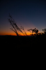 beautiful sunrise full of color to enjoy and take photographs