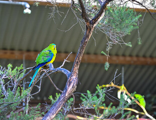 Bird park in Moonlit sanctuary, Melbourne, Australia