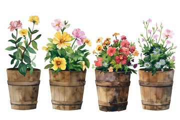Naklejka premium Watercolour flowers in wooden pots isolated on a transparent background