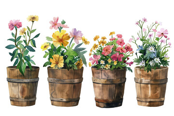 Naklejka premium Watercolour flowers in wooden pots isolated on a transparent background