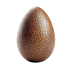 Dinosaur egg