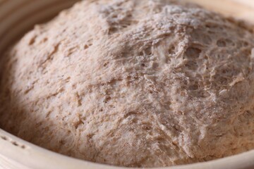 Fresh sourdough in proofing basket, closeup view