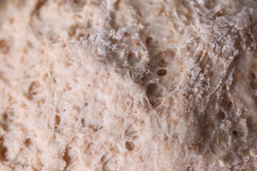 Closeup view of fresh sourdough as background
