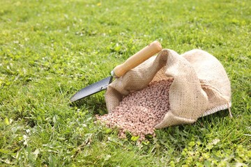 Granulated fertilizer in sack and shovel on green grass outdoors. Space for text