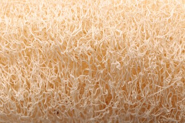 Loofah sponge as background, closeup. Personal hygiene product