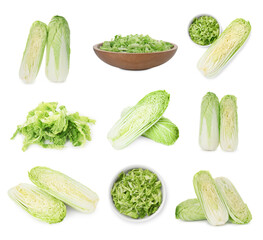 Fresh ripe Chinese cabbages isolated on white, set