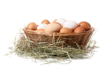 Fresh chicken eggs in wicker basket and dried hay isolated on white