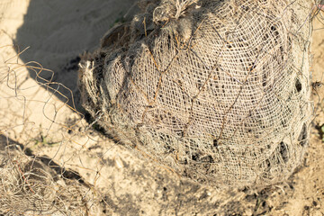 Planting trees in the park. Improvement of the park. Digging up soil.