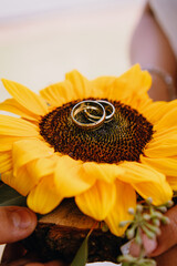 wedding rings on a sunflower