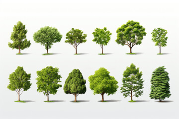 Fototapeta premium Collection of trees isolated on white background. 3d rendering illustration.