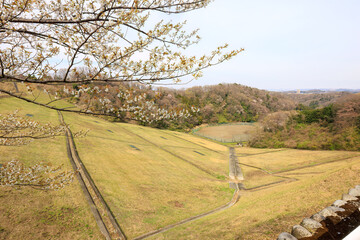 湖畔で満開に咲く美しいソメイヨシノ（バラ科）の花の木。
Beautiful Someiyoshino sakura (Cerasus x yedoensis, cherry blossom, Rosaceae) flowering trees in full bloom by the lake.
日本国神奈川県相模原市の里山にて。
2022年4月撮影。

神奈川県の郊外にある美しい里山。
丘の周囲