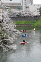 Travelling to Japan is so amazing and love the city Tokyo so much.
