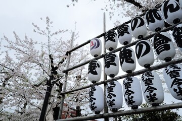 Travelling to Japan is so amazing and love the city Tokyo so much.
